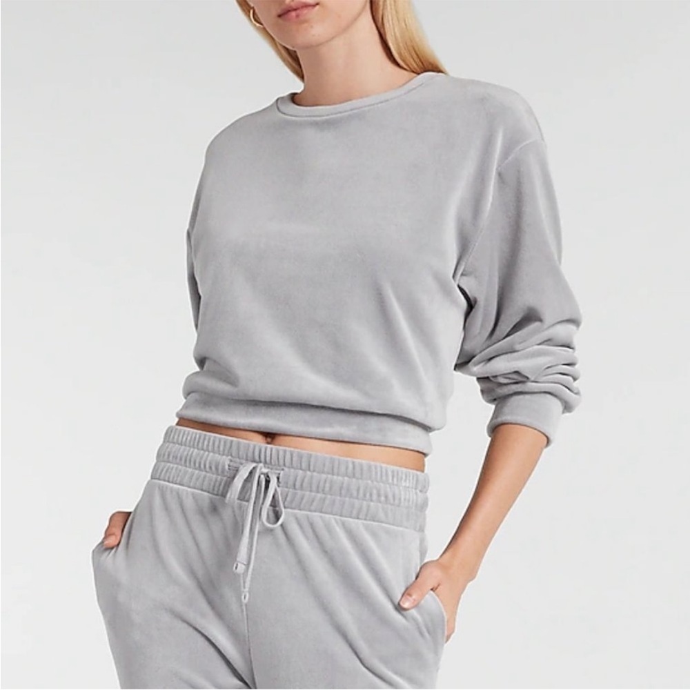 NWT Express Gray Velour Crew Neck Sweatshirt - Sz M